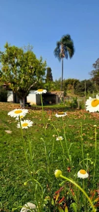 Imagem Chácara com 3 dormitórios à venda, 4533 m² por R$ 440.000,00 - Das Areias - Itapeva/MG