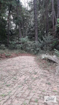 Imagem Terreno à venda, 35167 m² - Granja Viana - Cotia/SP