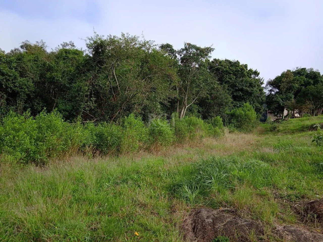 Imagem Terreno para Venda - 4950m², 0 dormitórios, Vila Nova, Porto Alegre