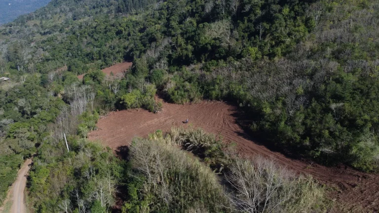 Imagem Chácara para venda no bairro Santa Lúcia do Piaí em Caxias do Sul