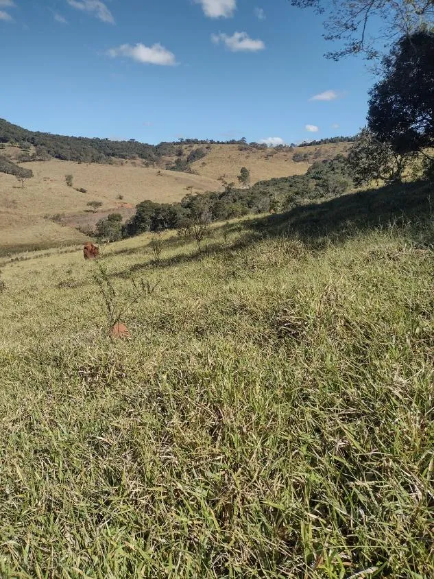 Imagem Vendo terreno em Crucilândia com 48 hectares de terra