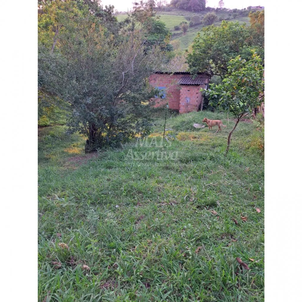 Imagem Santo Antônio da Patrulha RS - Localidade de Pinheirinhos.
R$ 270.300,00 A que busca uma área...
