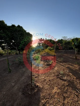 Imagem Área 16 mil m² Jardim Helvécia - Complemento.