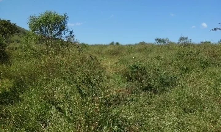 Imagem Linda Área para Loteamento em Piracaia 20 alqueires