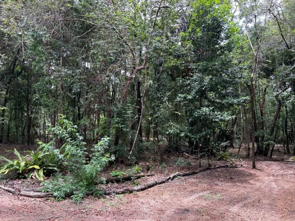 Imagem CASA DE VIDRO