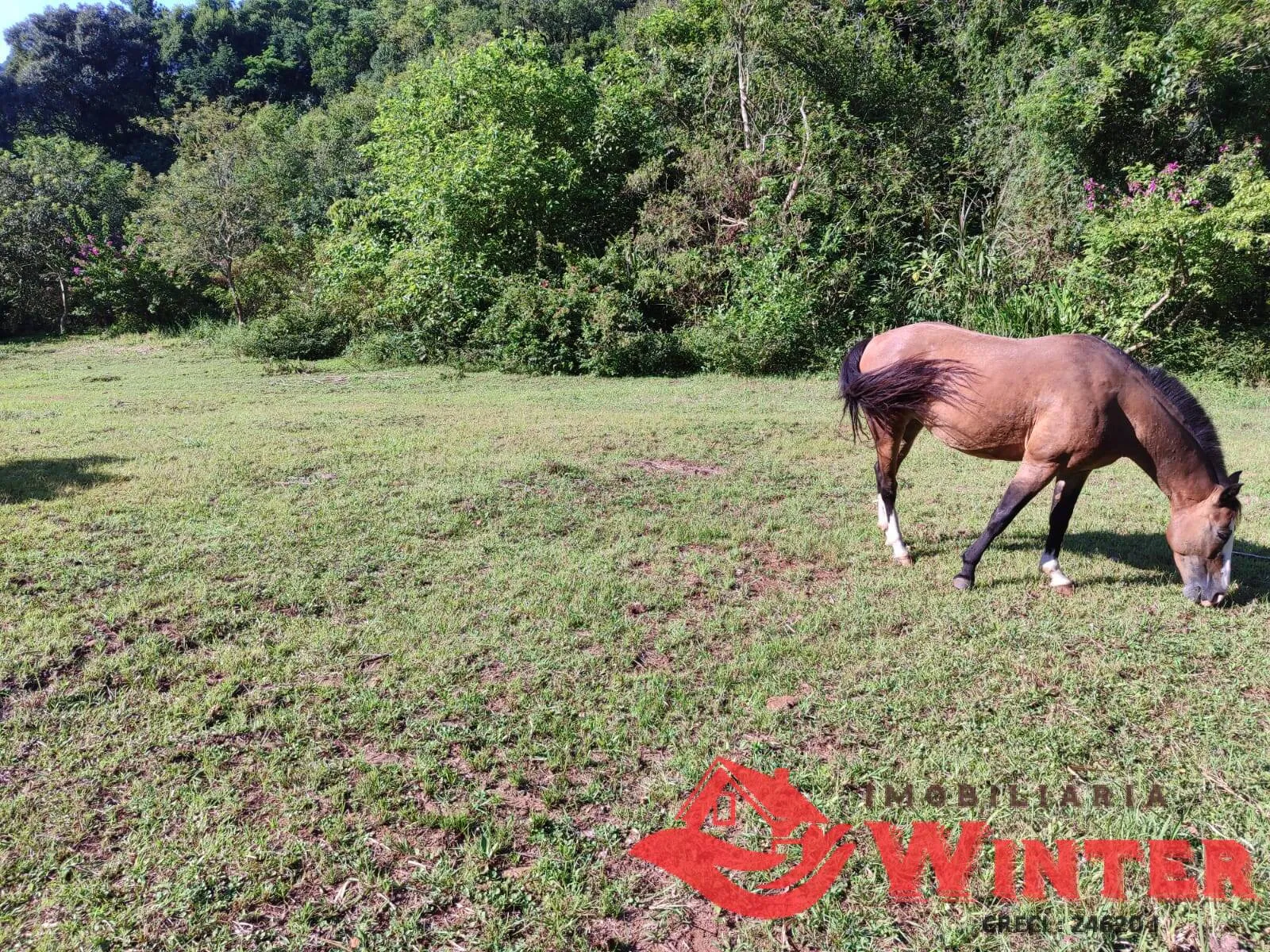 Imagem Área de terras com 21.000m² a venda no Canto Chuchu, Feliz