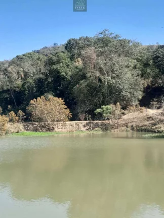 Imagem Terreno incrível para criação de animais e plantio