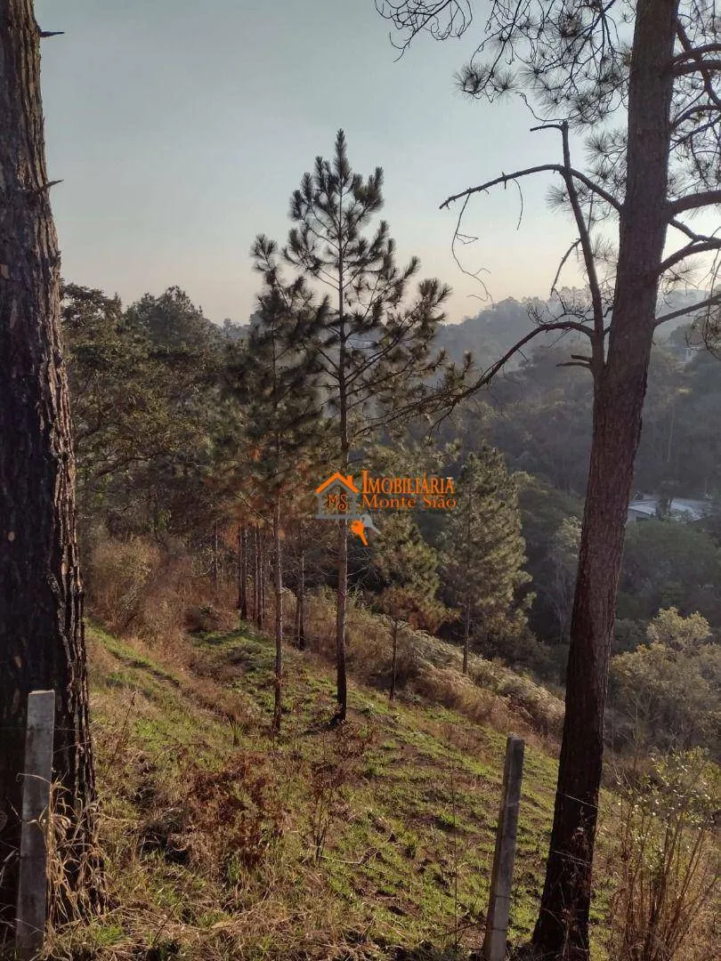 Imagem Terreno à venda, 1000 m² por R$ 490.000 - Água Azul - Guarulhos/SP