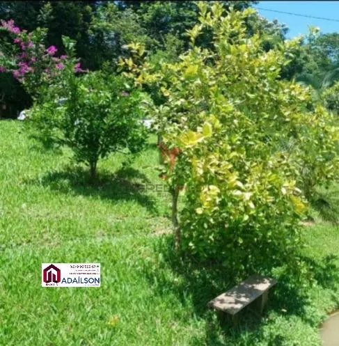 Imagem UMA LINDA CHACARA, A 1 KM DO ASFALTO EM SANTO AMARO DA IMPERATRIZ SC