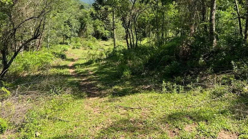 Foto do imóvel Terreno à venda em Gramado, Carazal, 20000m2