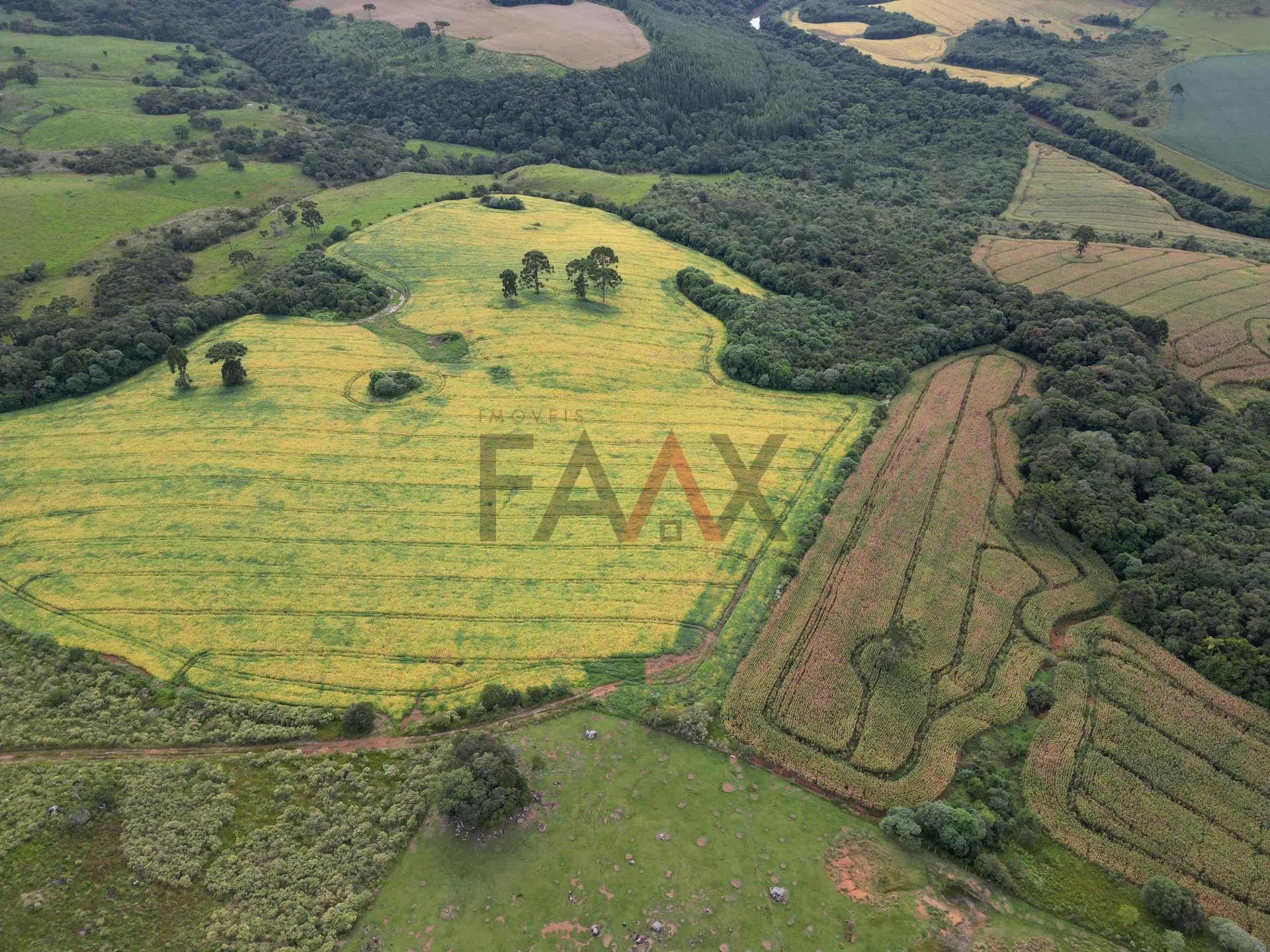 Imagem Chácara com 1.210.000,00m as margens da BR-277 em GUARAPUAVA - PR