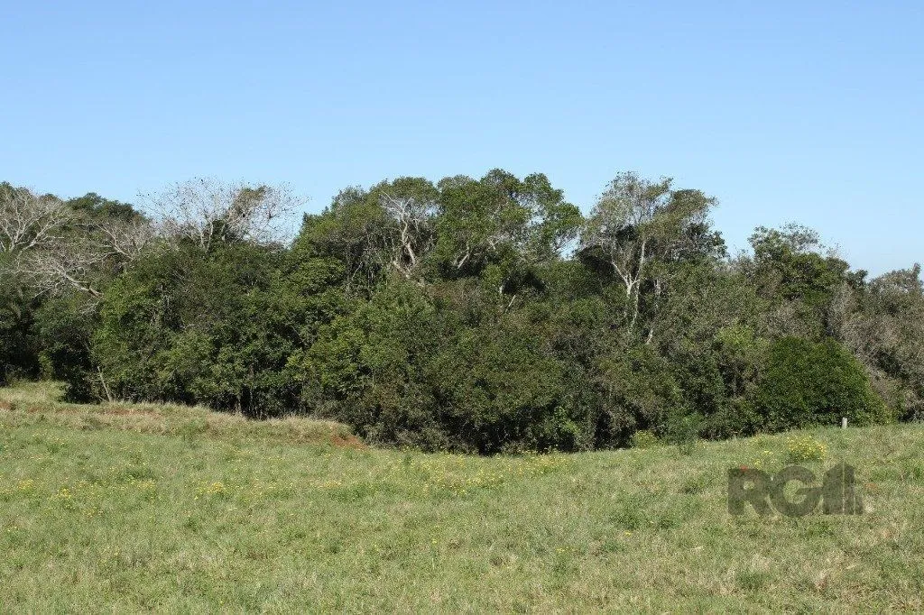 Imagem Terreno em Padre Elly