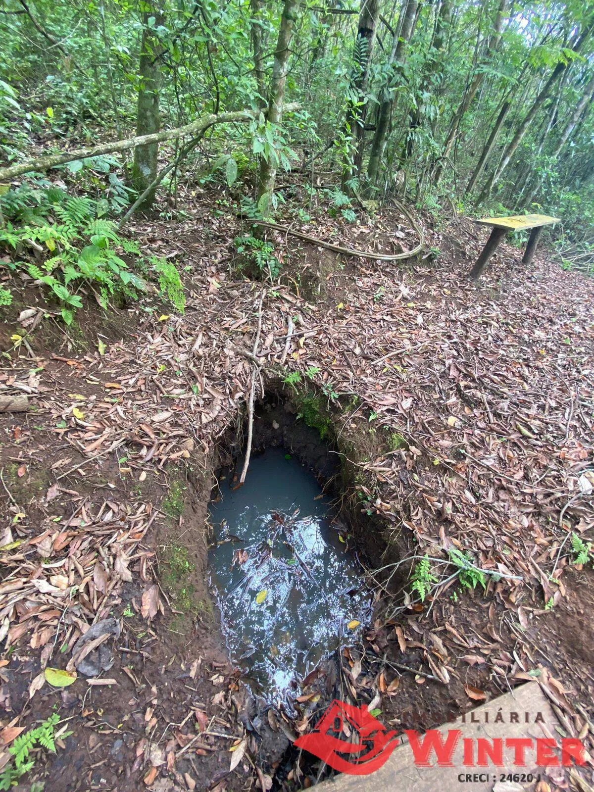 Imagem Área de terras com 6,3 hectares em São Roque, Feliz.