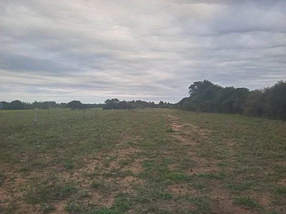 Imagem EXCELENTE LOGÍSTICA!!! Sitio de 2 Hectares com Casa, Boa Vista, Viamão