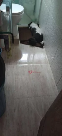 Imagem Apartamento com 2 dormitórios à venda, 48 m por R$ 180.000,00 - Conjunto Residencial Jos?(C) Bonifácio - São Paulo/SP
