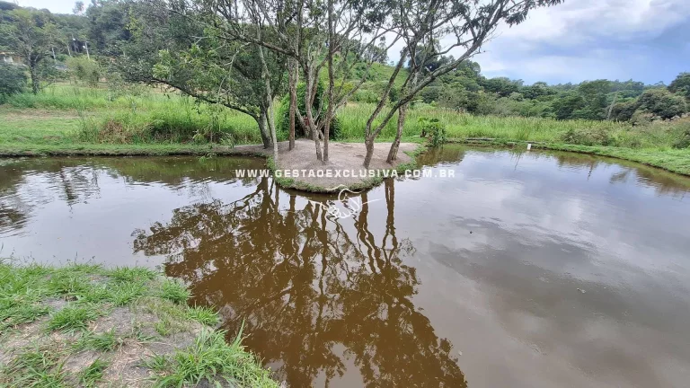 Imagem Sítio 20mil m² Documentado 4 Lagos Pomar Formado Morungaba/SP