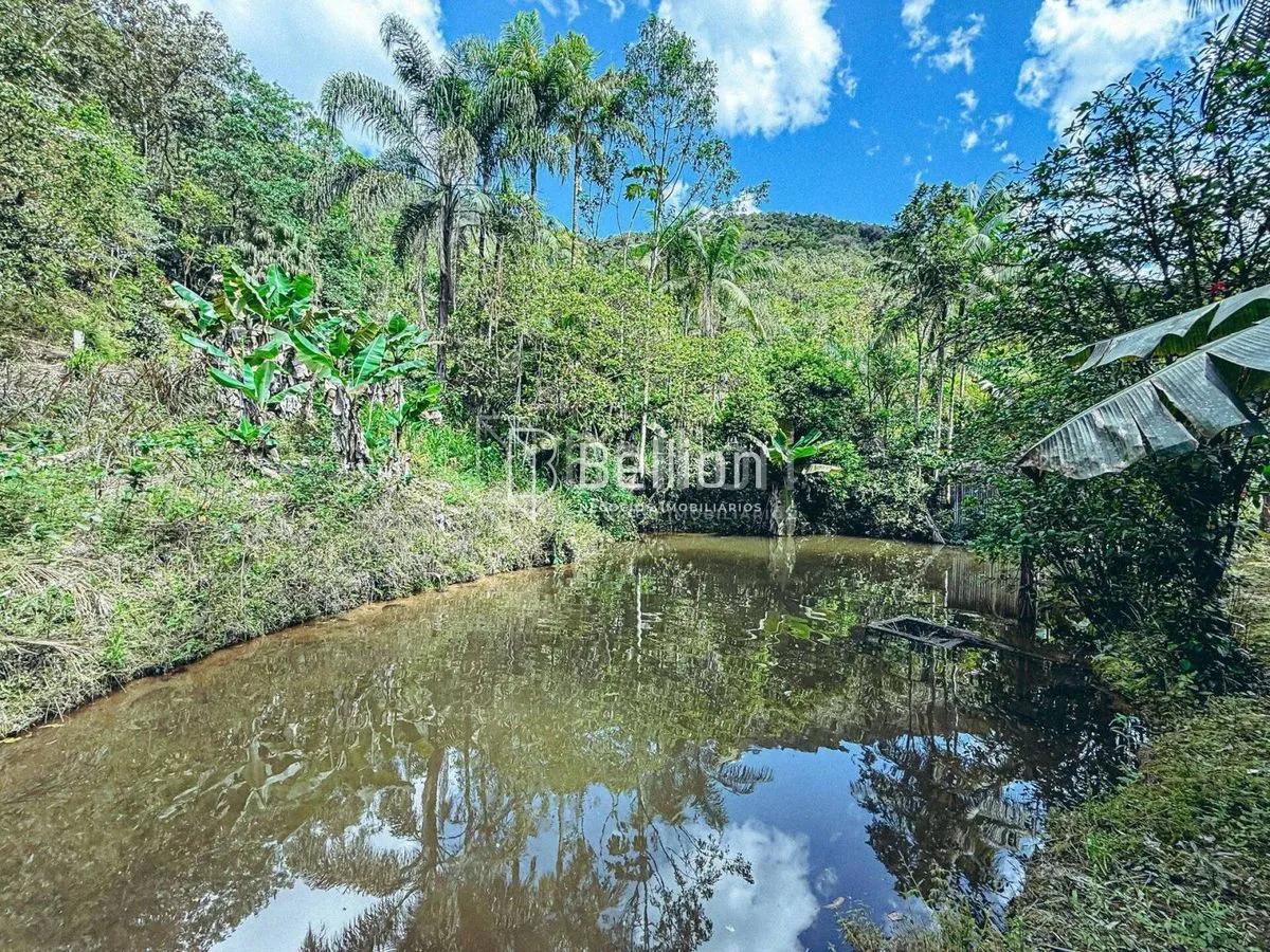 Imagem Sítio com casa em madeira de lei e riqueza em água em Rio dos Cedros