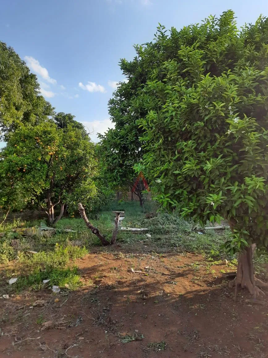 Imagem Excelente terreno à venda com terreno de 1.276,50m no Bairro dos Estados