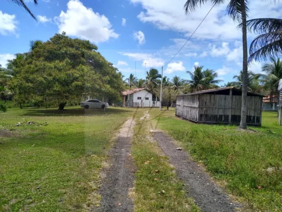 Imagem Vendo Fazenda produtiva 250mil m2, Conde / BA