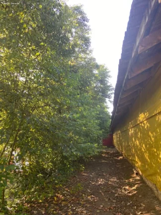 Imagem Área para Venda em Cordilheira Alta, Interior, 3 dormitórios, 1 banheiro, 2 vagas