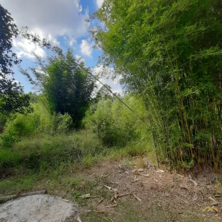 Imagem Sítio na divisa de Jundiaí com Itatiba com área de 68.000m² em preço promocional