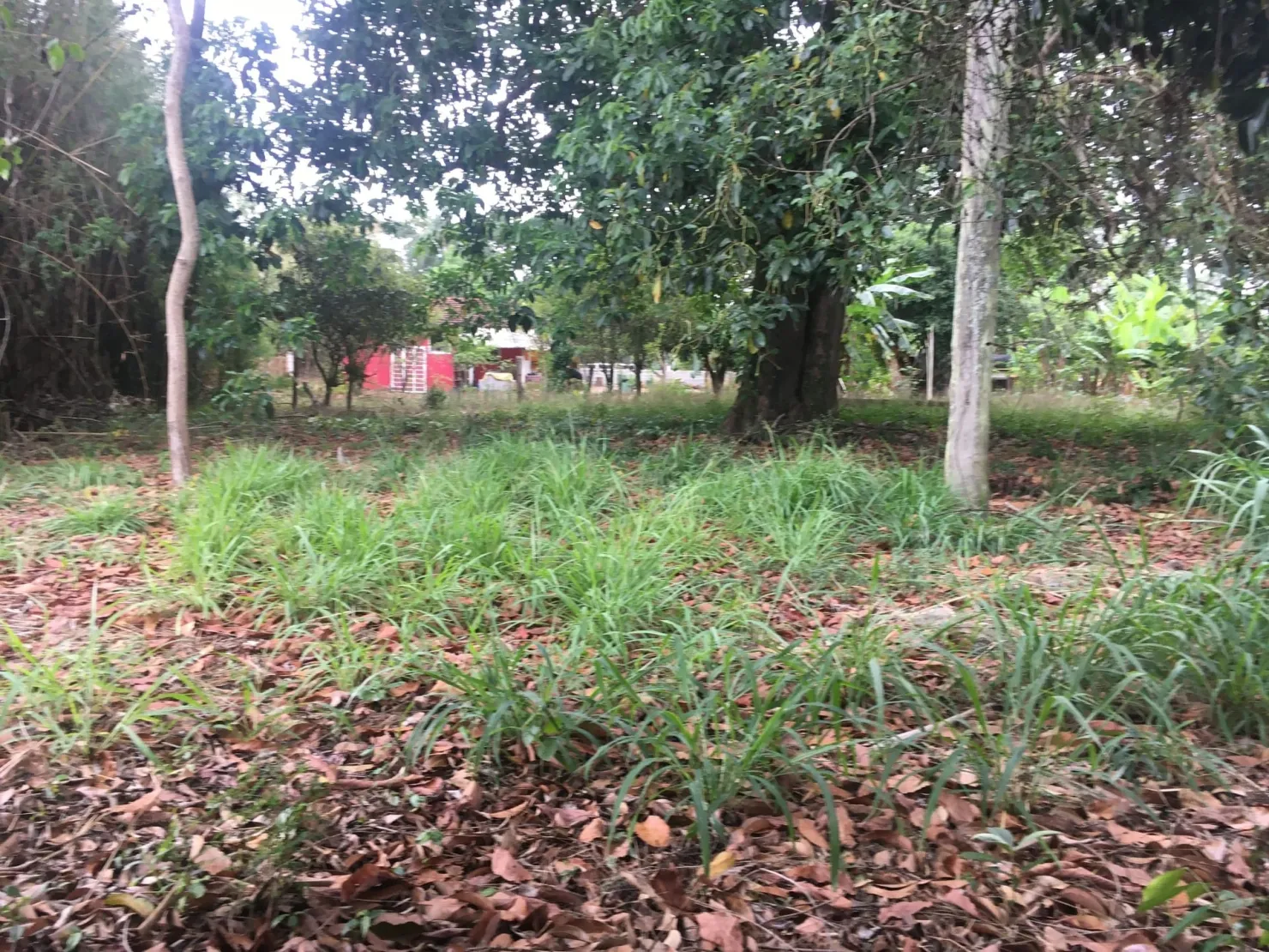 Imagem Terreno à venda 9 Quartos, 29773.51M², Bela Vista, Pindamonhangaba - SP