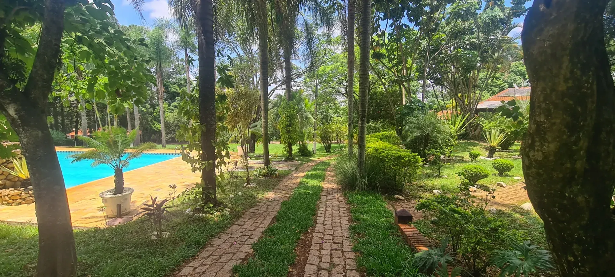 Foto do imóvel: Chácara com 3 Quartos à Venda, 367 m² em Área Rural de Cesário Lange - Cesário Lange