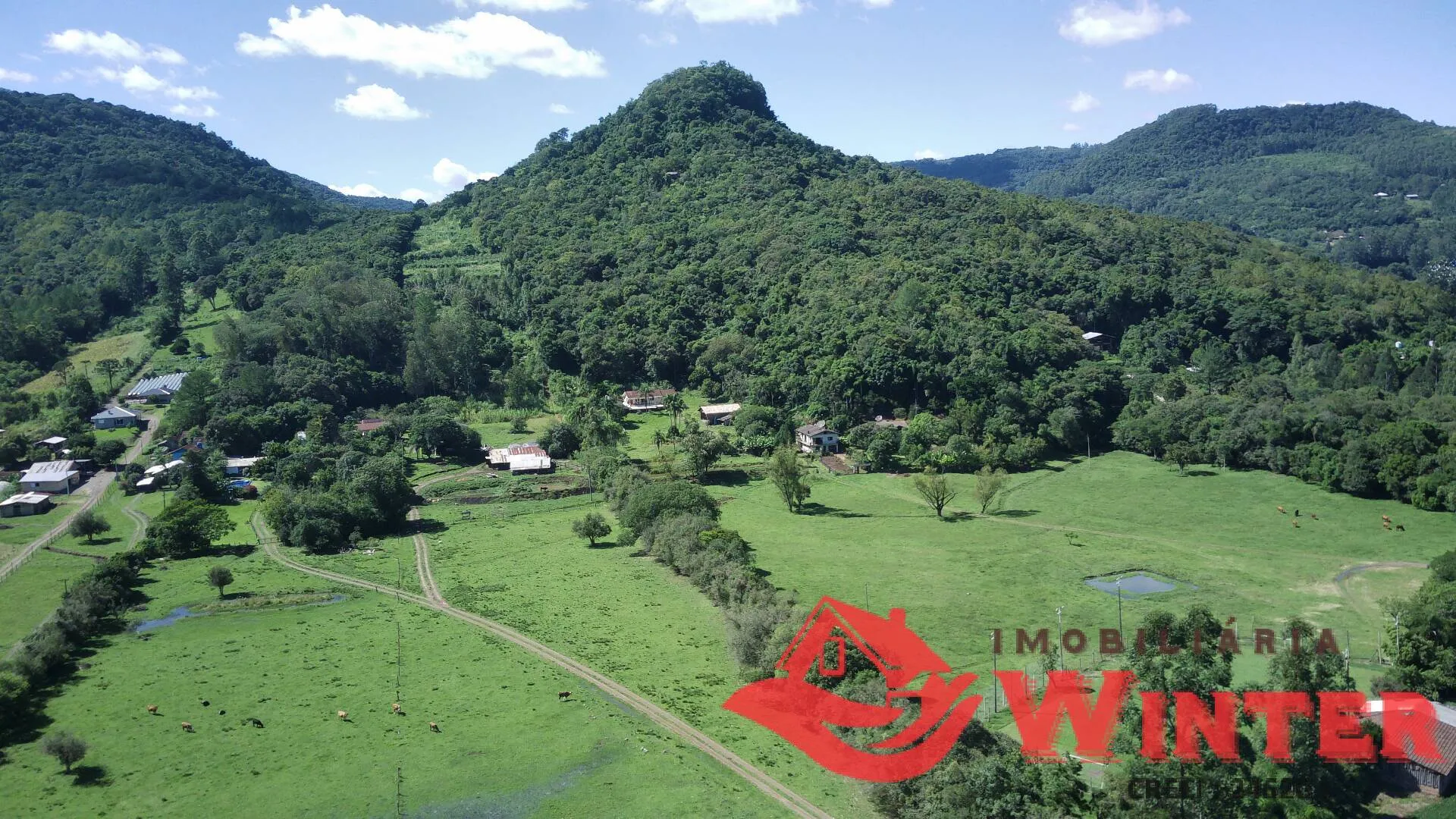 Foto do imóvel Área de Terras de 11 ha na Picada Cará Feliz.