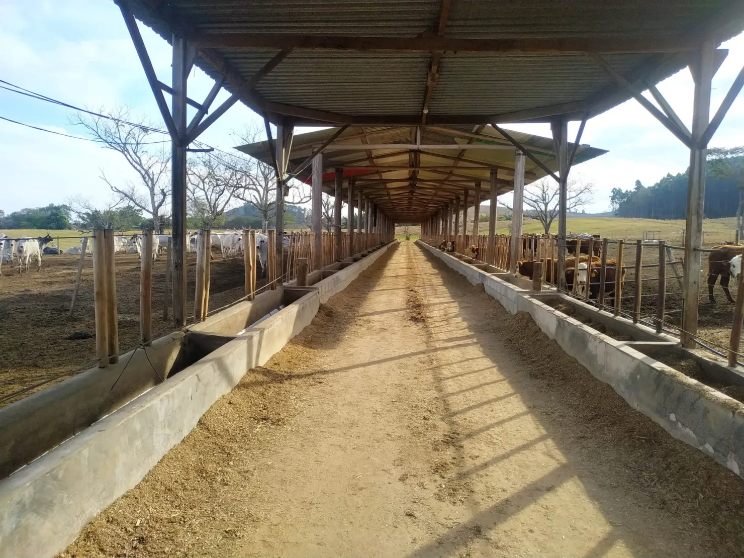 Imagem Chácara à venda 3 Quartos, 1 Suite, 4840000M², Zona Rural, Cachoeira Paulista - SP