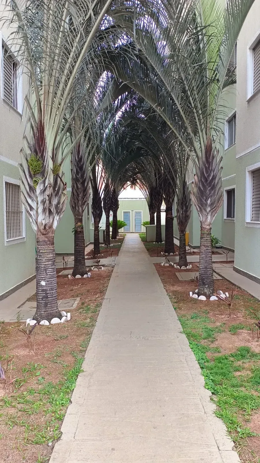 Imagem Apartamento com 2 Quartos à Venda, 50 m² em Ponte de São João - Jundiaí