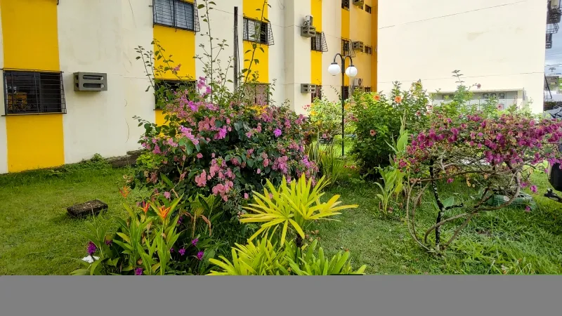 Imagem Pernambuco - Camaragibe, Nazaré , Apartamento, (Comprar)