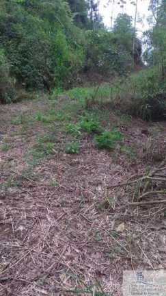 Imagem Rural - Chácara, para Venda em Rio dos Cedros/SC