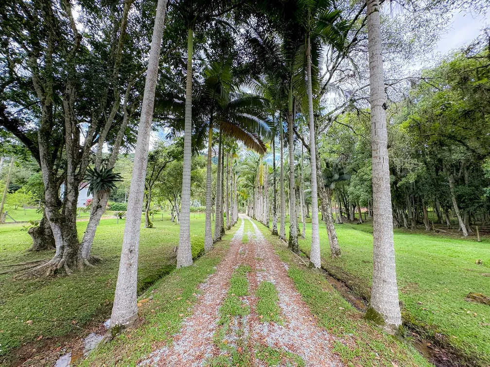 Imagem Chácara com 3 Quartos à Venda, 15595 m² em Área Rural de Camboriú - Camboriú