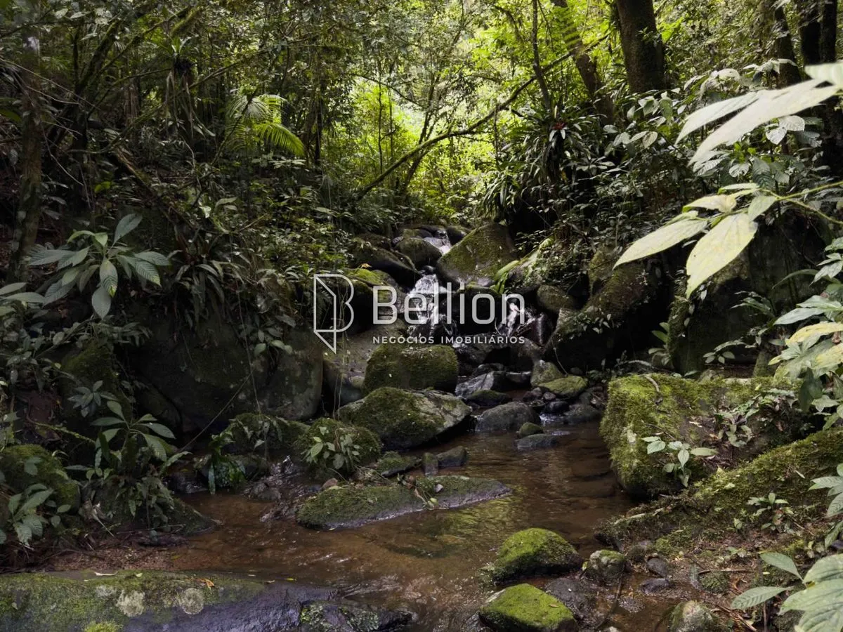 Imagem 141.367m² com Cachoeira e Potencial para Chalés em Ribeirão Coração, Benedito Novo