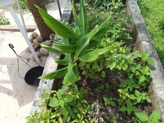 Imagem Magnífica casa em Itaipuaçu, 50mts da Orla, próximo restaurante