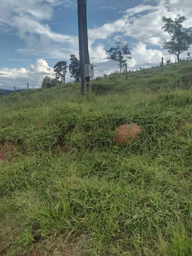 Imagem Excelente fazenda com 194 hectares de terra de cultura disponível para venda