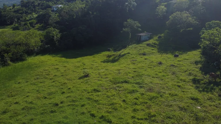 Imagem Área Exclusiva à venda com 12.500 m² no Macacu, Garopaba-SC: Vista para Lagoa e Mar.