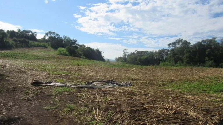 Imagem Área Agrícola para Venda em Concórdia, Barra do Pinhal