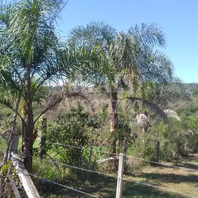 Imagem Terreno para venda de 1700m², Santa Cruz da Concórdia em Taquara/RS.