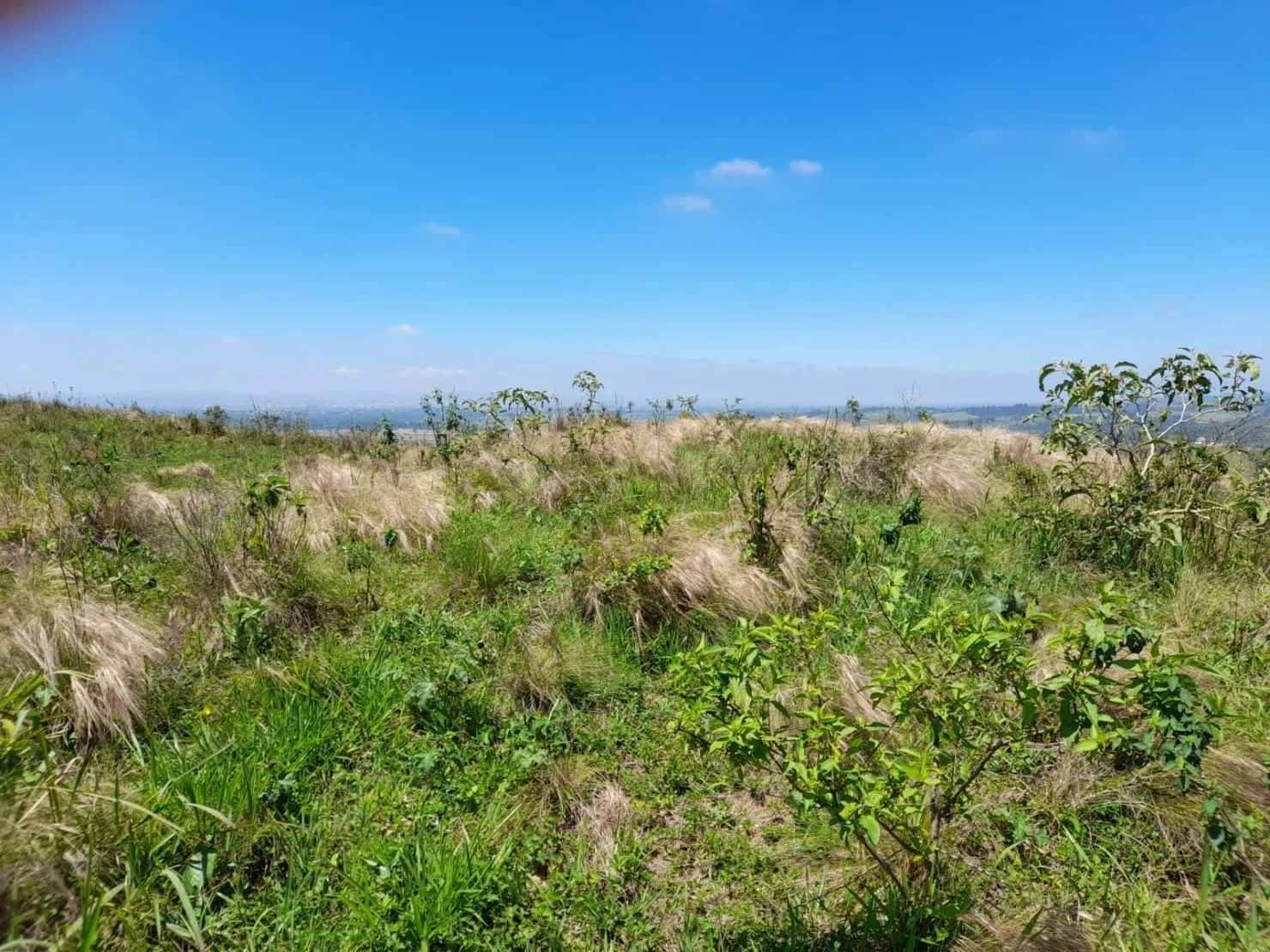 Imagem Chácara à venda 20000M², Mandú, Pindamonhangaba - SP