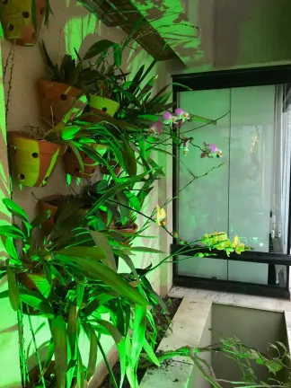 Imagem Apartamento com 1 Quarto à Venda, 44 m² em Indianópolis - São Paulo