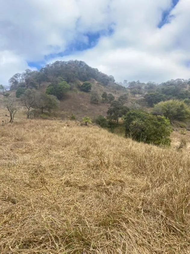 Imagem Sítio Maravilhoso à Venda em Bonfim/MG, com 9 hectares de terra