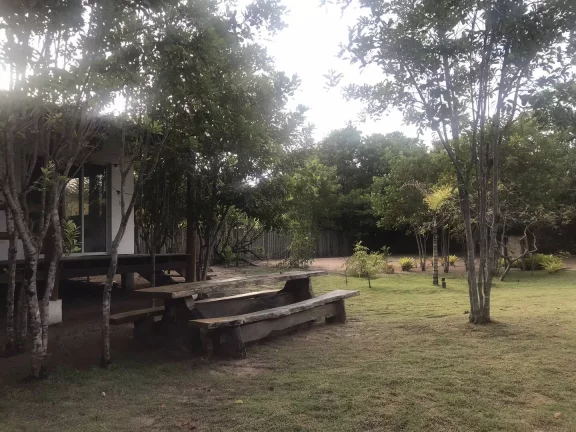 Imagem TERRA DOS PÁSSAROS