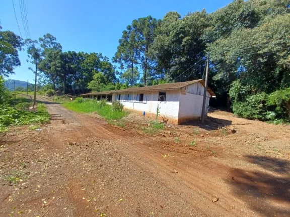 Imagem Área Agrícola para Venda em Concórdia, Interior