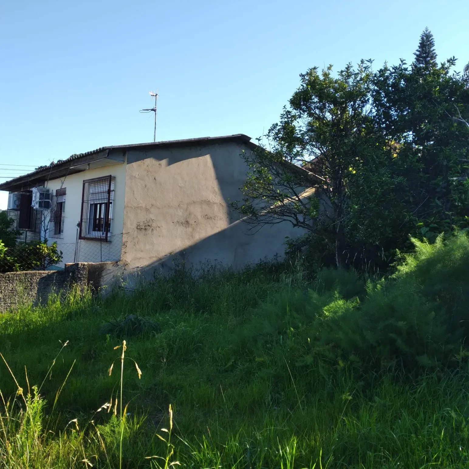 Imagem EXCELENTE TERRENO EM BELÉM VELHO