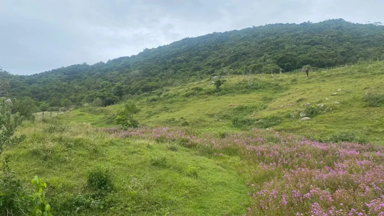 Imagem Terreno à venda na Praia da Silveira, Garopaba-SC: 1.550m² de oportunidade imperdível!