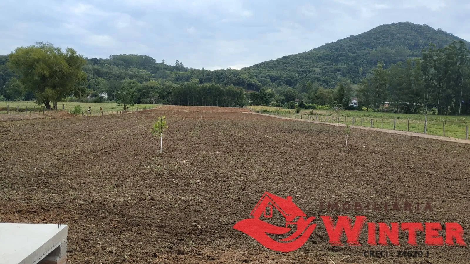 Imagem Pavilhão com 174 m², mai 2.50 ha de terra em Bom Fim Alto, Bom Principio,RS