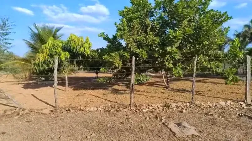 Imagem Terreno à Venda, 1000 m² em Esperantina - Esperantina
