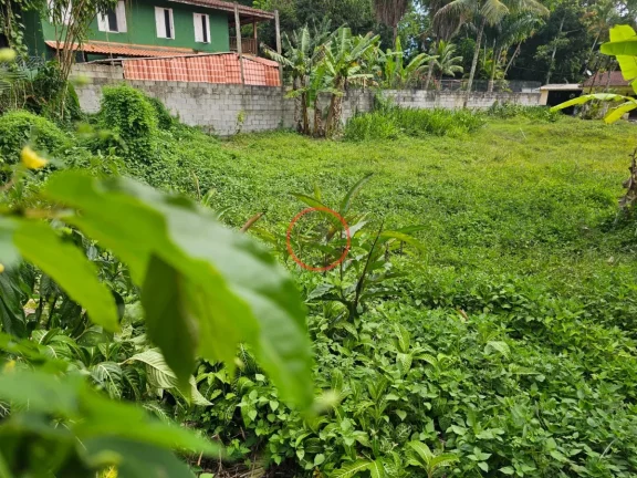 Imagem TERRENO PLANO COM ESCRITURA DEFINITIVA DE 600METROS QUADRADO 15X40 EM BOIÇUCANGA EM RUA RESIDENCIAL