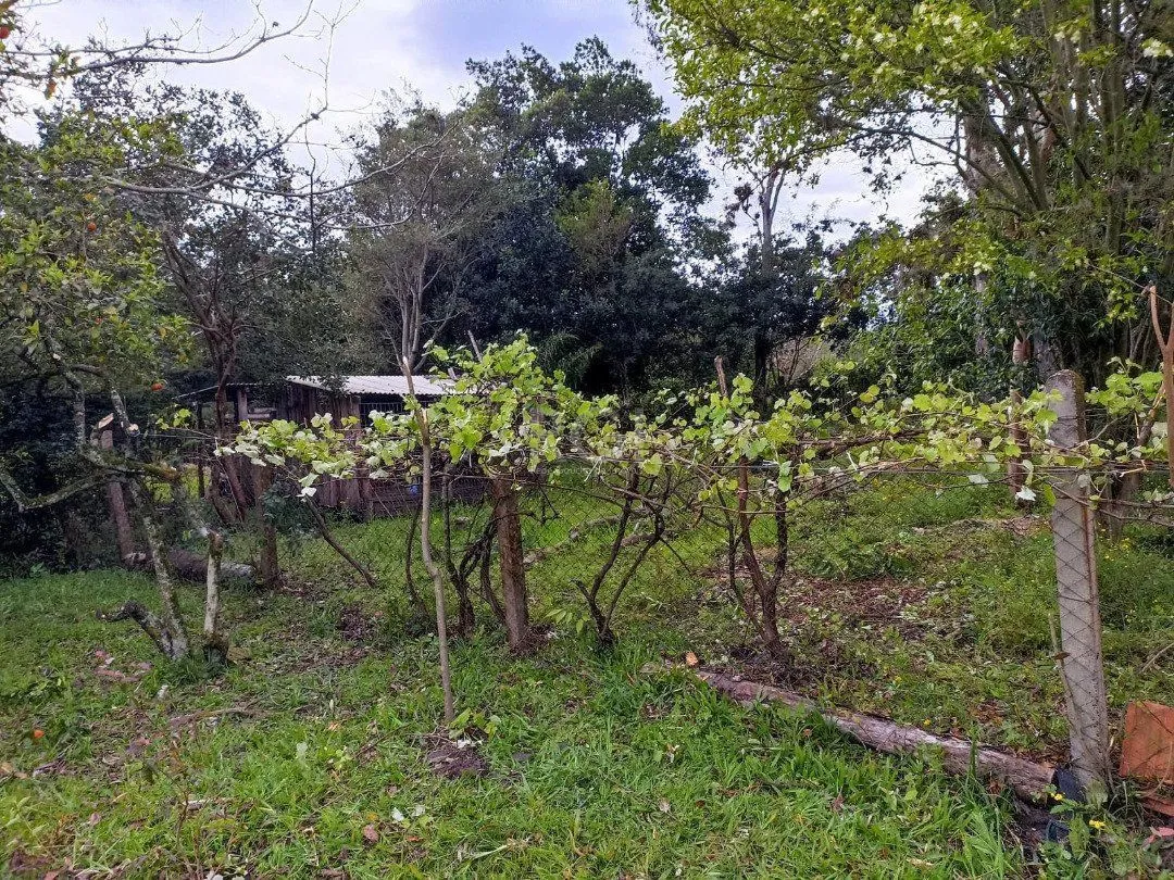 Imagem Sítio para Venda - 3330m², 3 dormitórios, sendo 1 suites, Itapuã